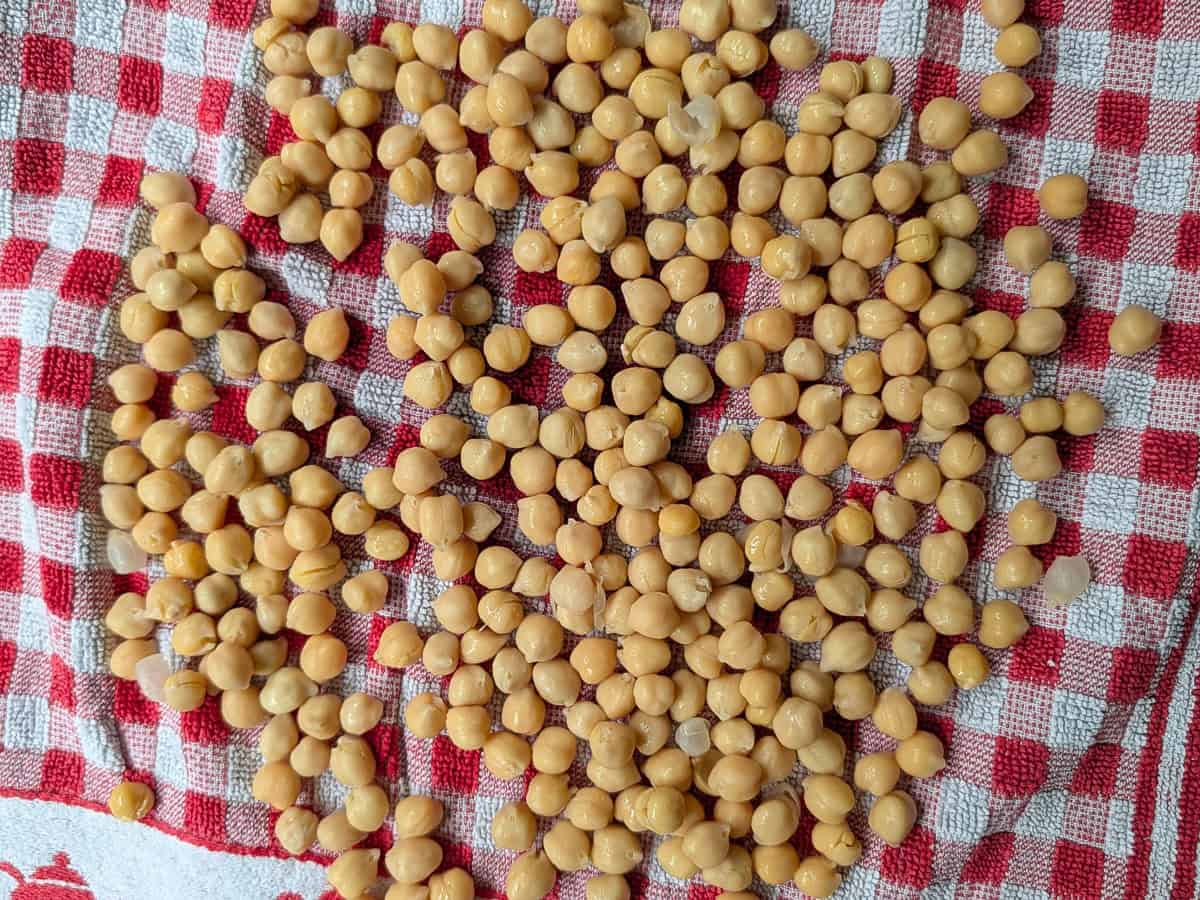 A close-up image of cooked chickpeas spread on a kitchen towel.